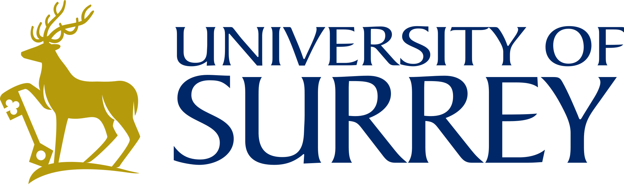 university of SURREY
